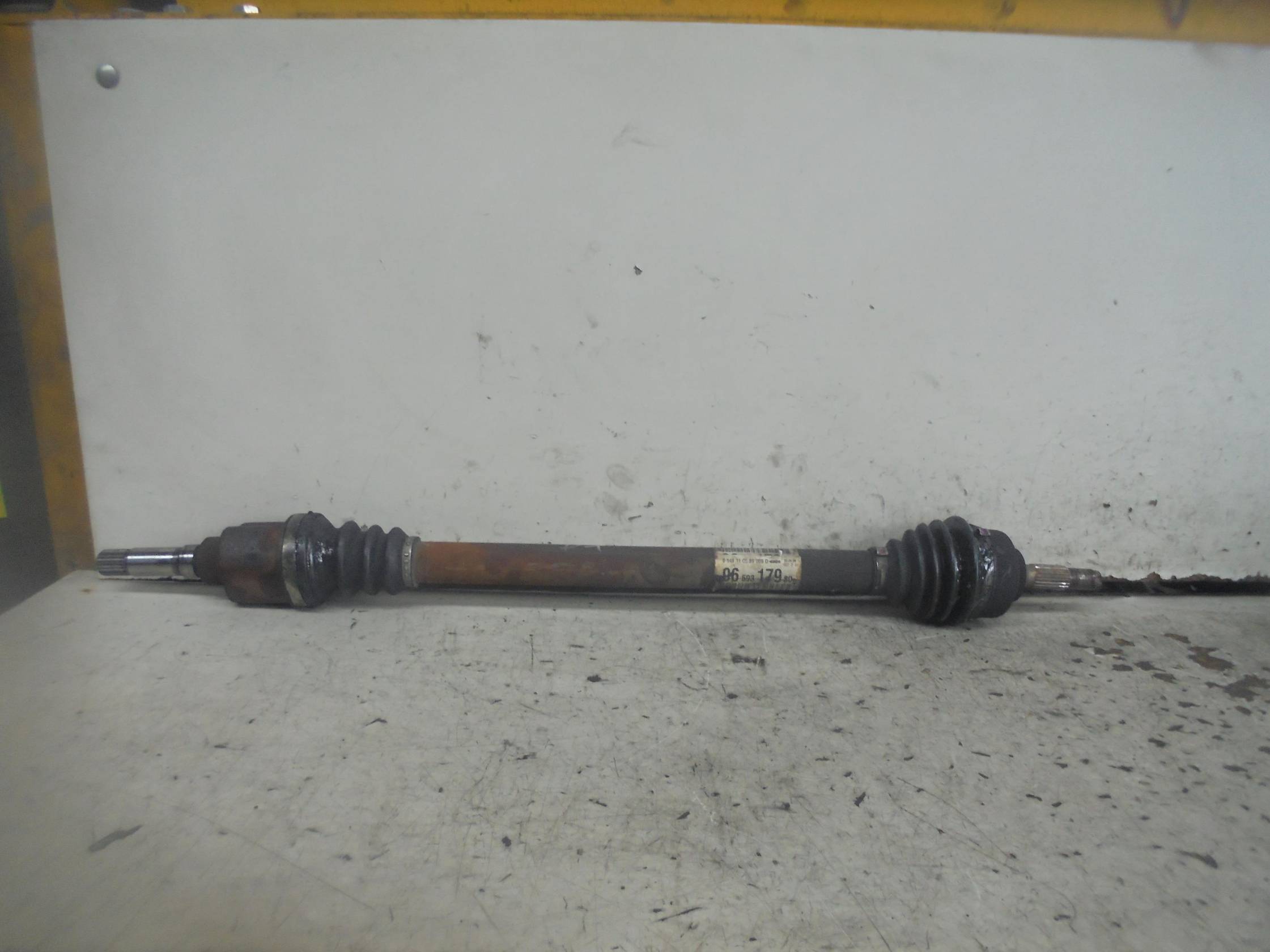 Semialbero ant. compl. dx.